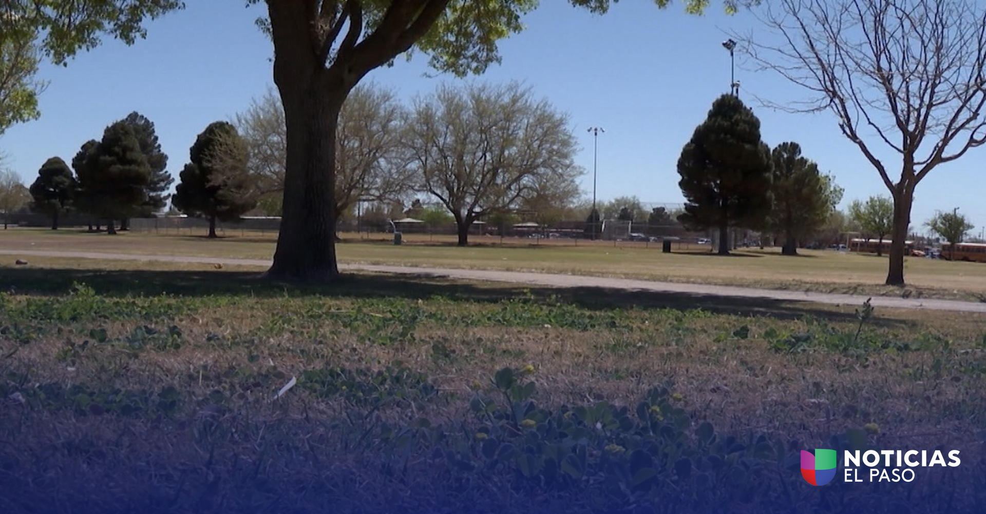 Participe en la Encuesta de Parques El Paso para Mejorar la Calidad de Vida