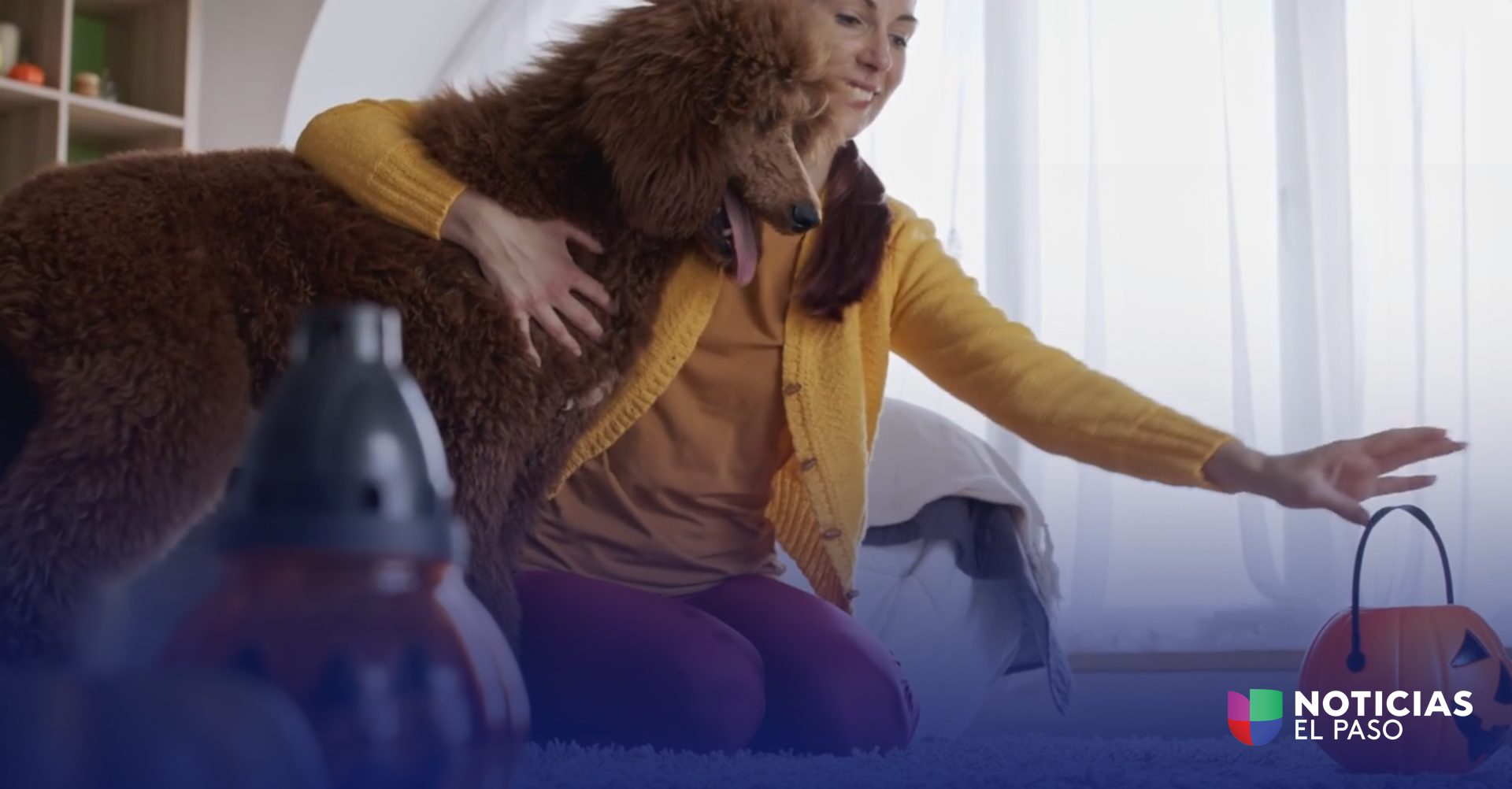 Consejos Esenciales para Mantener a tus Mascotas Seguras Durante Halloween en El Paso