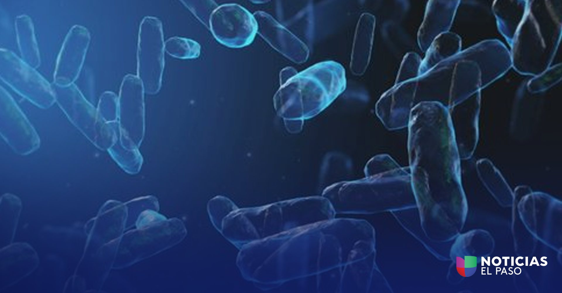 E. coli Detectado en Agua Subterránea de El Paso: Seguridad de la Comunidad Asegurada