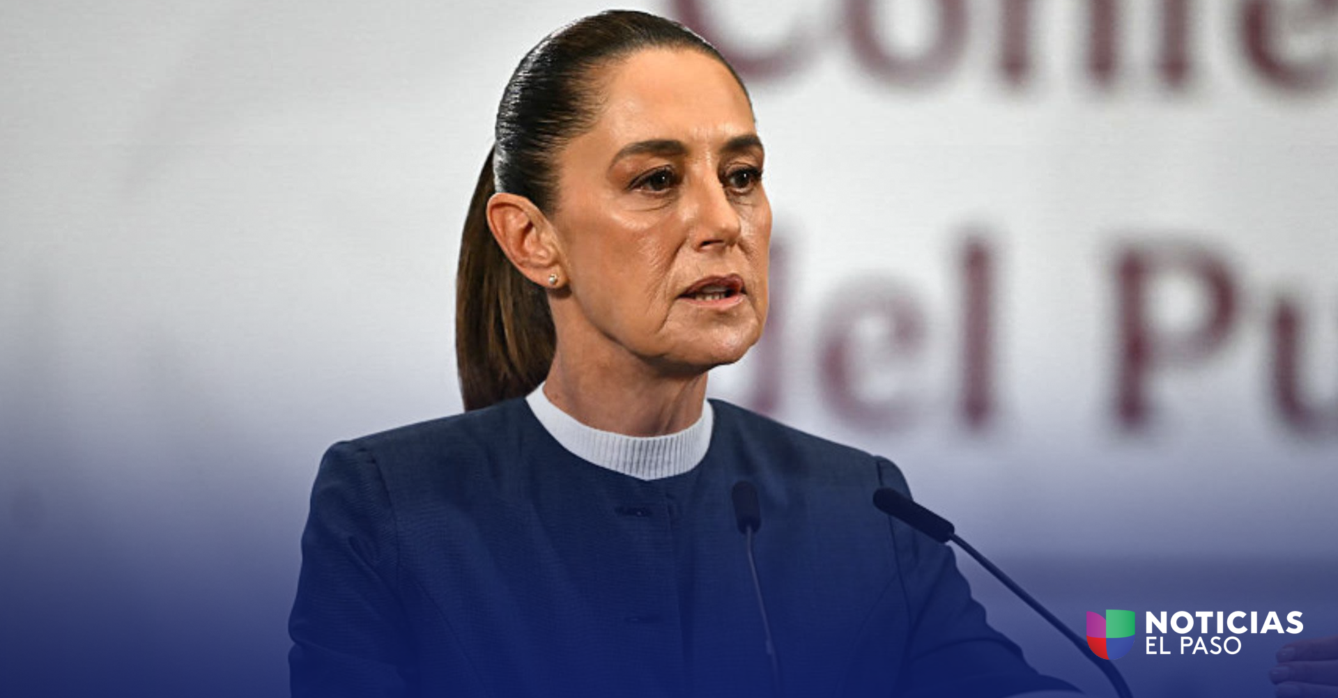 Claudia Sheinbaum Denuncia Caso de Acoso Sexual: Expertos Hablan sobre la Seguridad Presidencial