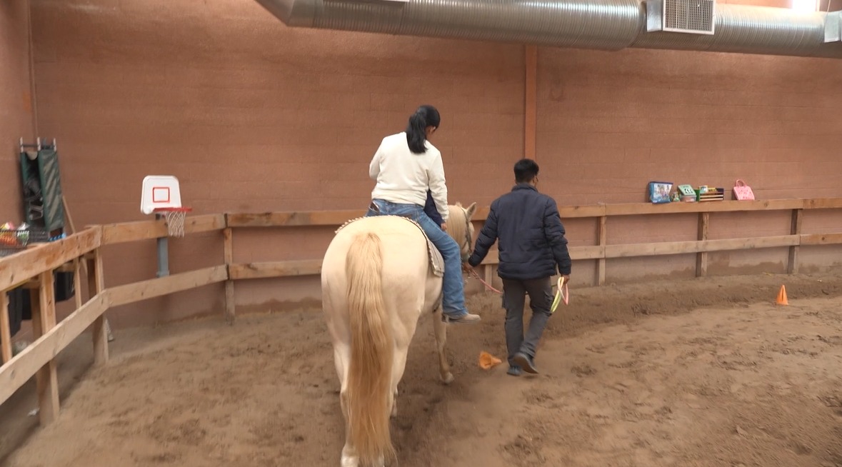 Terapia Equina en Ciudad Juárez: Un Refugio para Niños con Discapacidad
