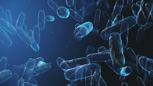 E. Coli Detectado En Agua Subterránea De El Paso: Seguridad De La Comunidad Asegurada - Noticias Notivalle