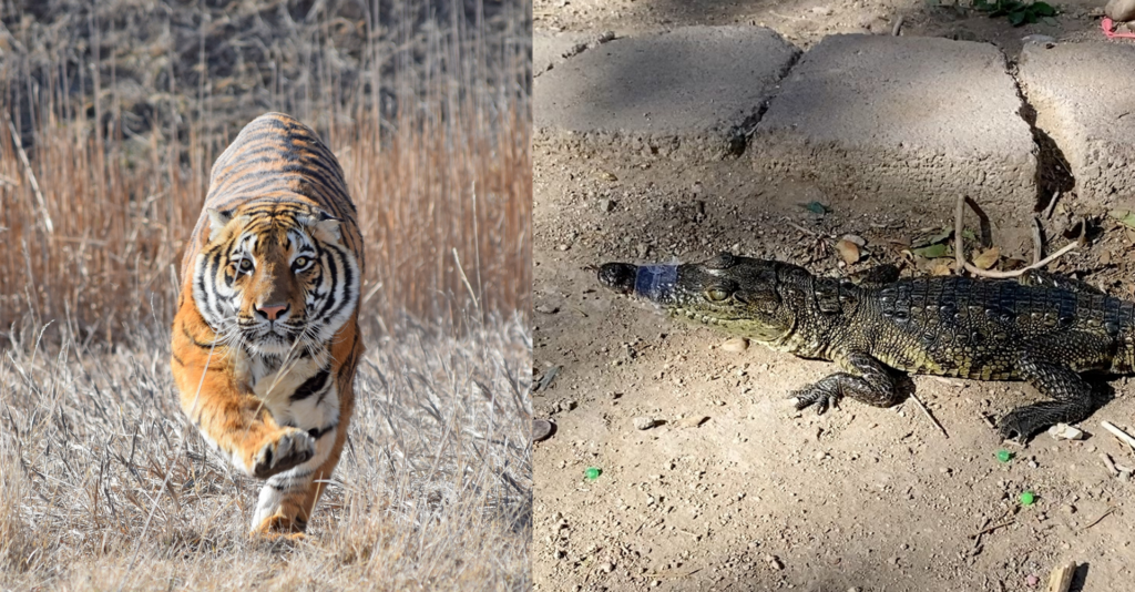 The current image has no alternative text. The file name is: David-Mendoza-Enriquez.png