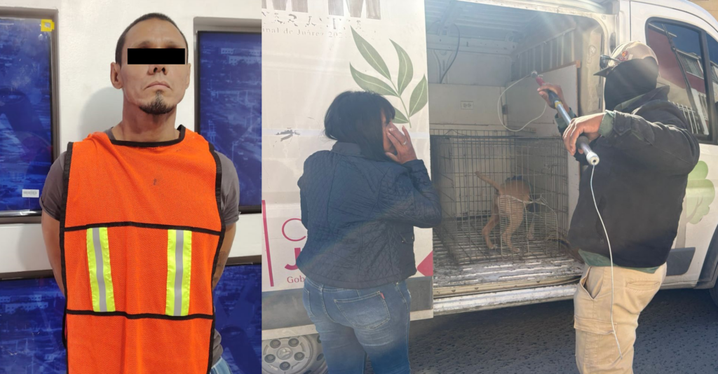 Detienen a hombre por presunto maltrato animal en Ciudad Juárez; rescatan a perro agredido