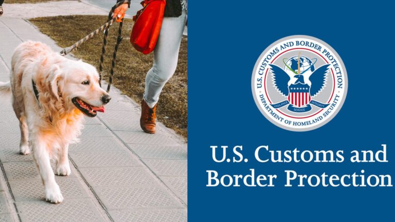 ¿Cruzas con tu perro a Juárez? Estos son los nuevos requisitos para regresar a Estados Unidos