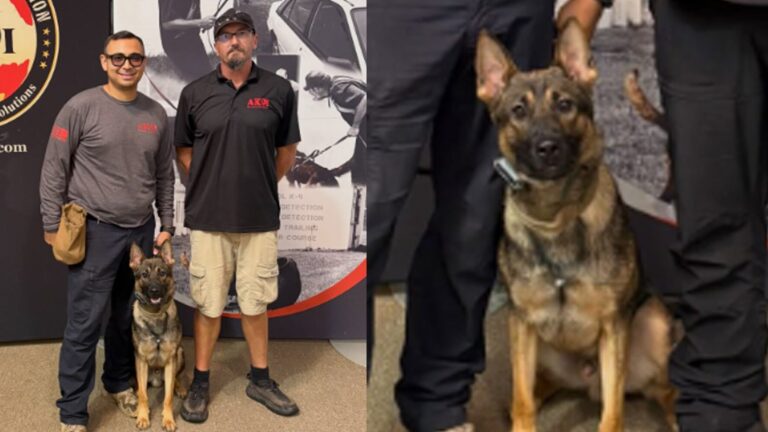 K-9 Simi se une a la Policía de Sunland Park tras completar entrenamiento especializado