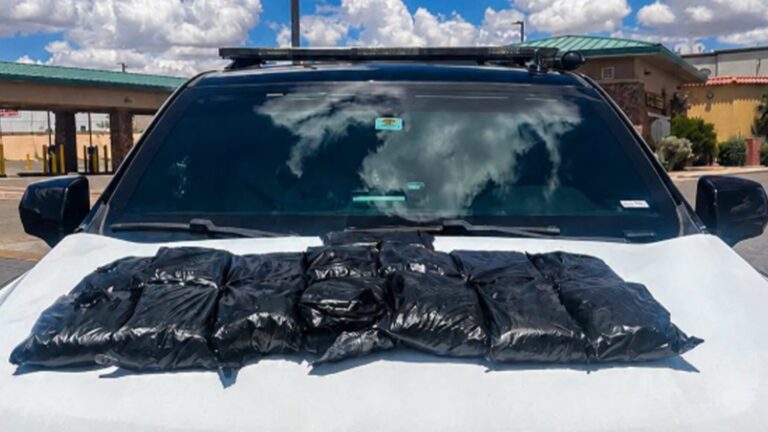 Incautan 156 mil pastillas de fentanilo durante parada de tráfico en El Paso